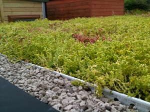Green Roofing - a Sedum Grass Roof in Midlands
